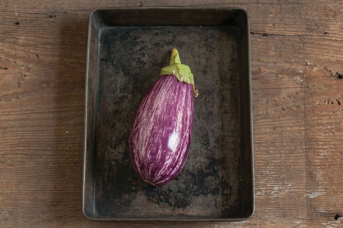 Nubia – Eggplant Seed